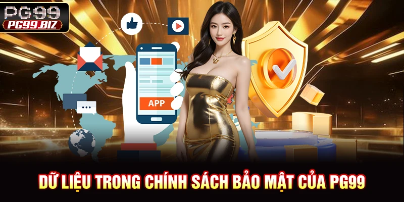 Dữ liệu trong chính sách bảo mật của PG99