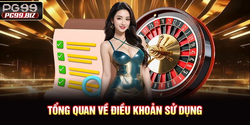 Tổng quan về điều khoản sử dụng
